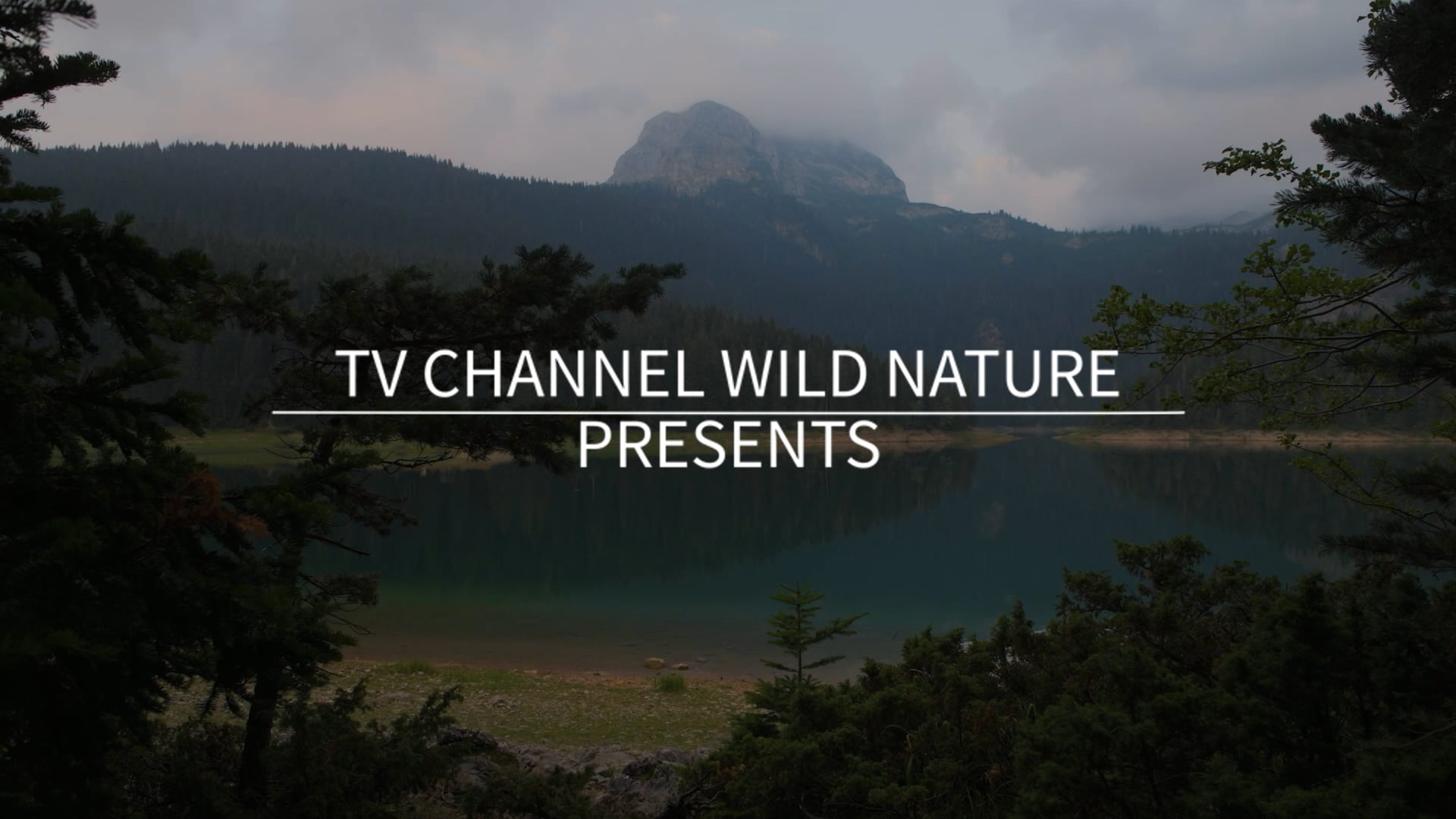 10 Minute Mindful Calmness Episode 2