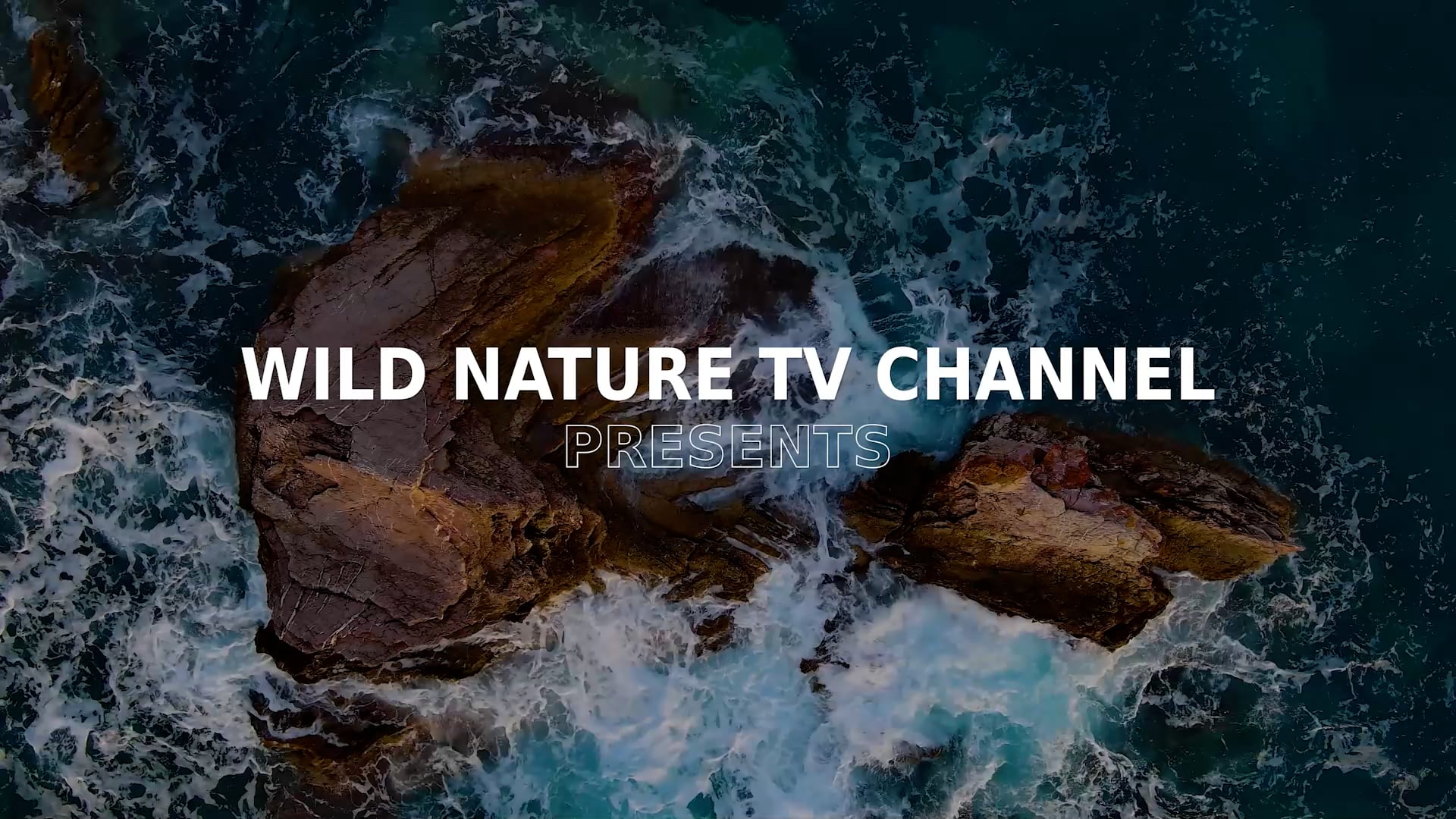 Wild Nature Episode 6
