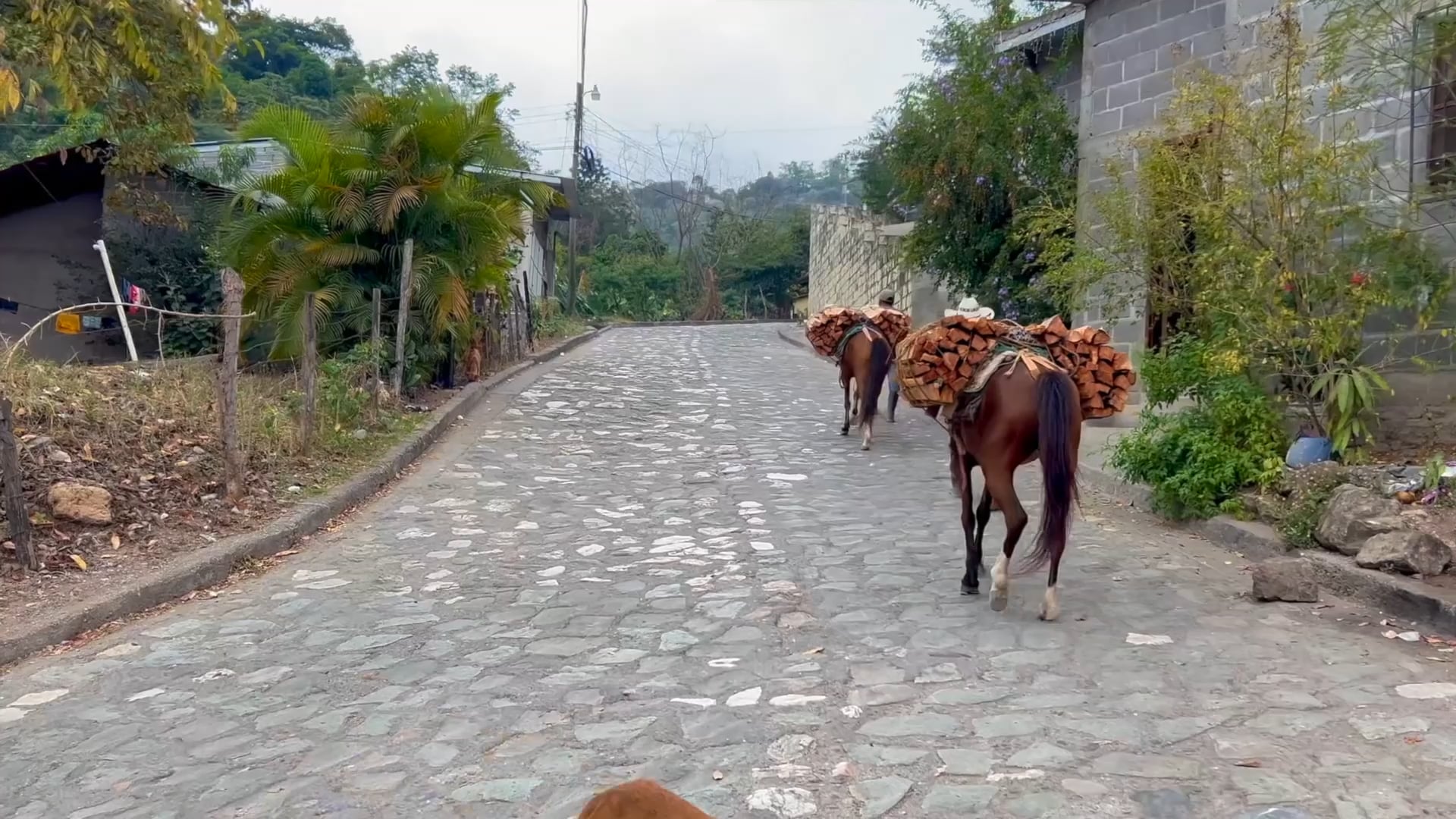 The Best of Central America