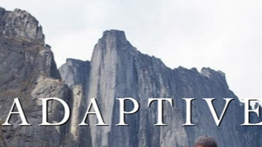 Adaptive