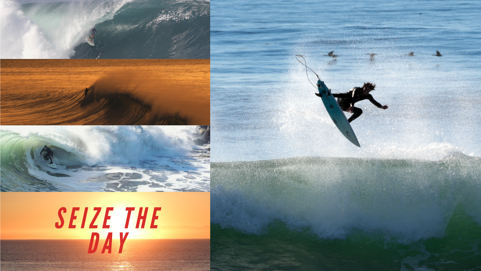 Seize the Day