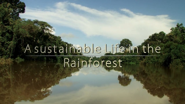 AMAZONAS - A Sustainable Life in the Rainforest