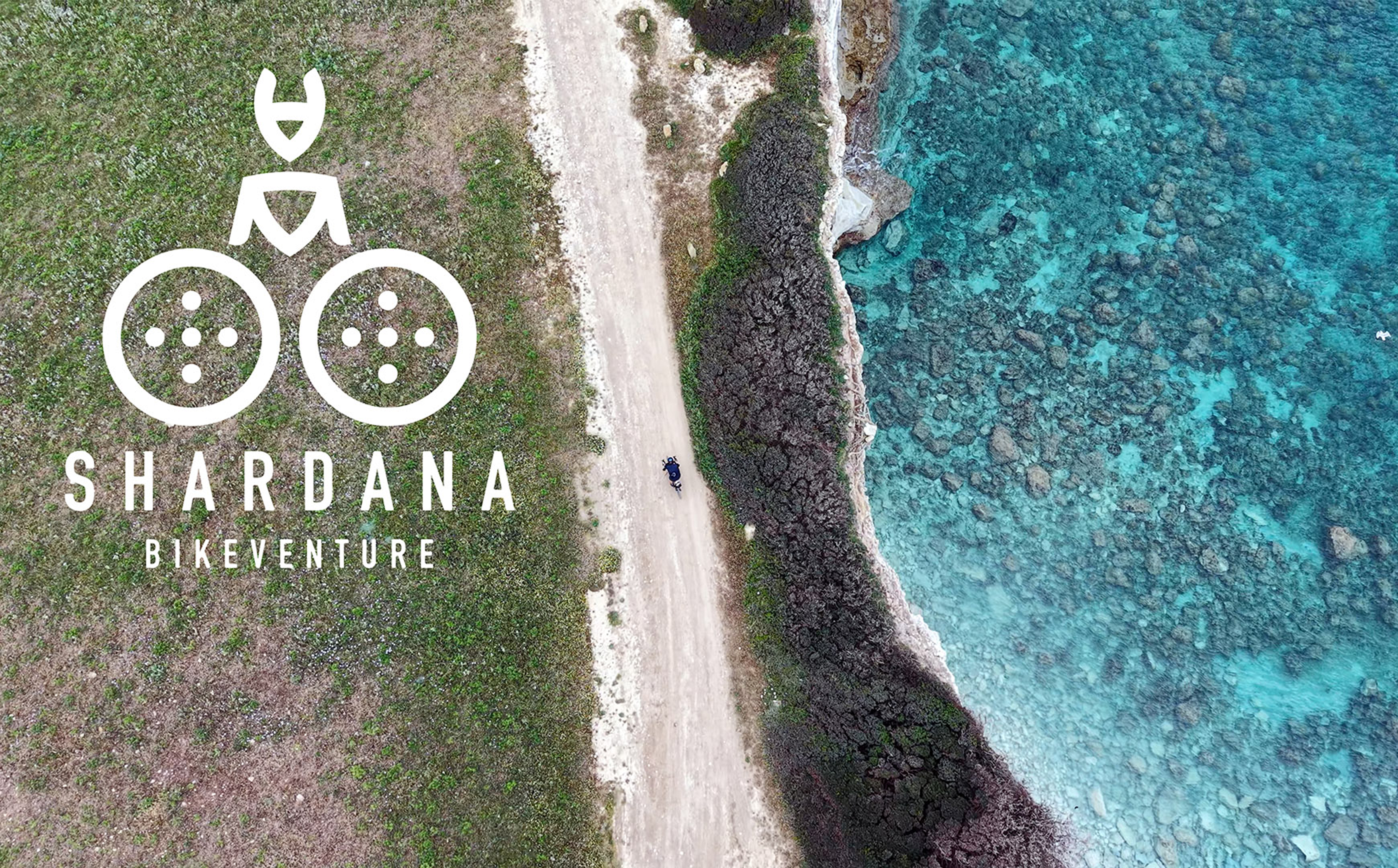 Shardana