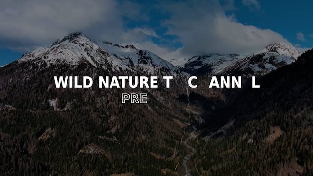 Wild Nature Episode 8