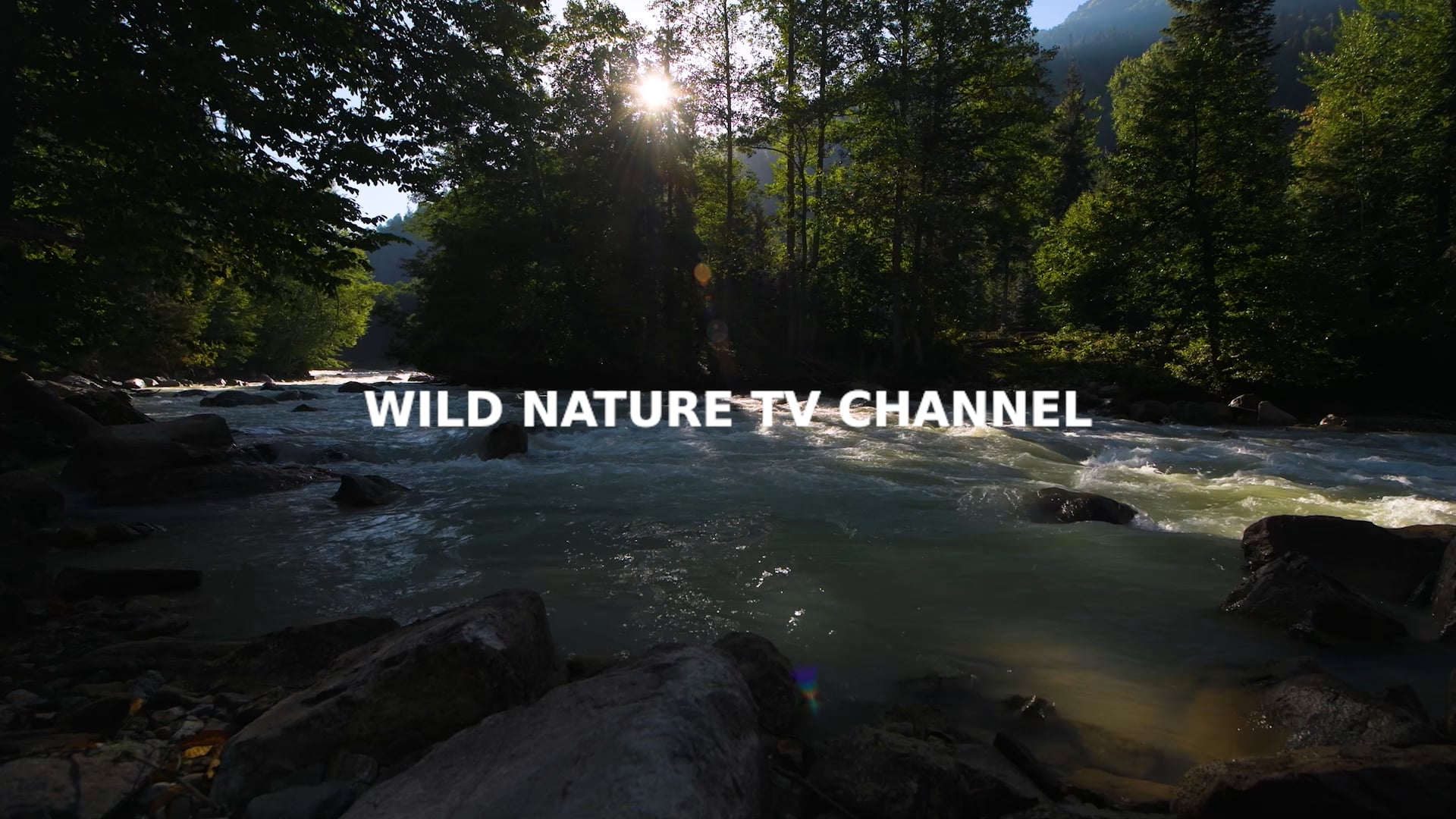 Date with Nature Season 4 Episode 3