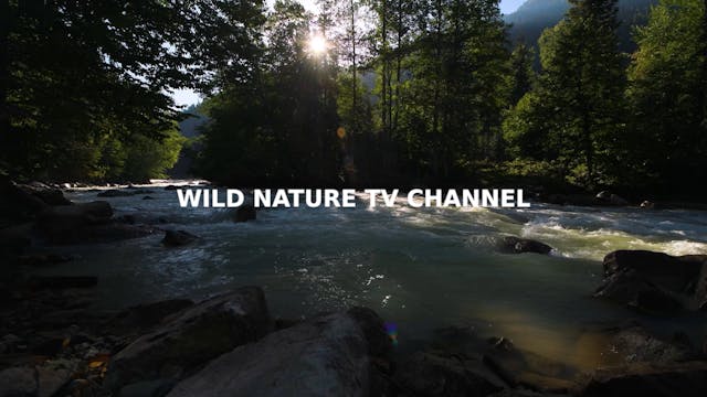 Date with Nature Season 4 Episode 3