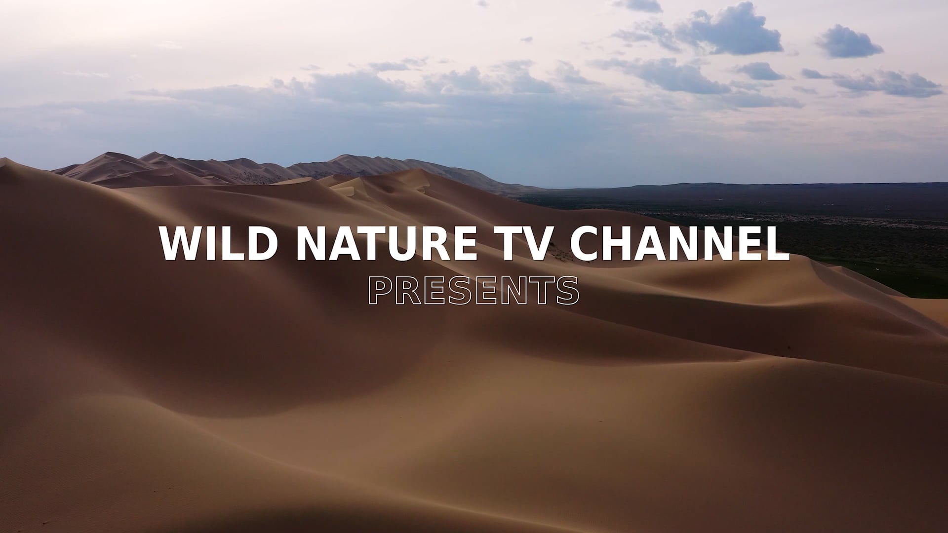 Wild Nature Episode 4