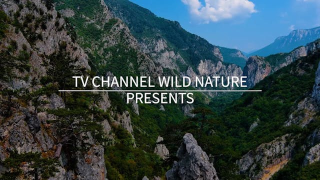 10 Minute Mindful Calmness Episode 10