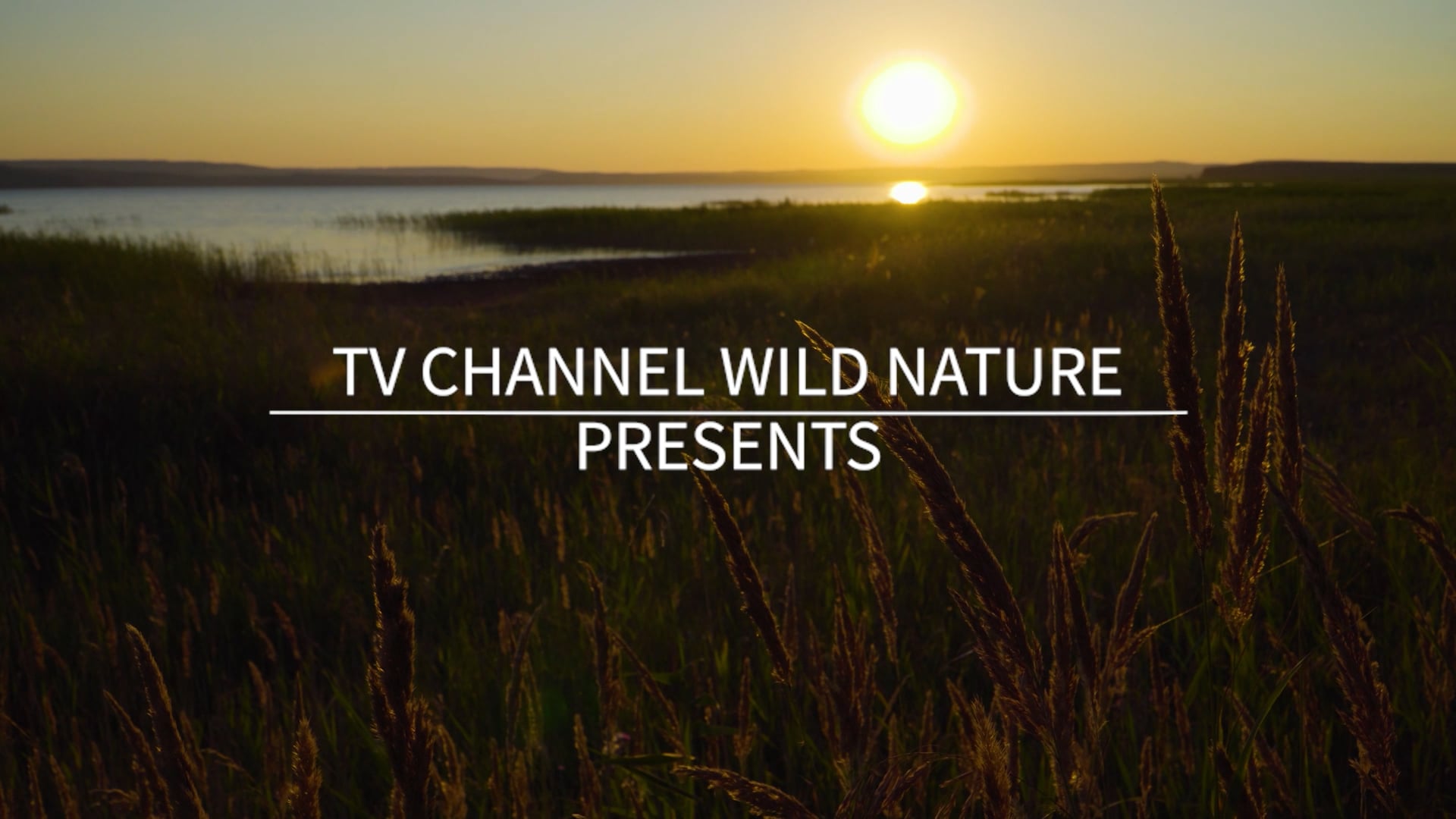 10 Minute Mindful Calmness Episode 7