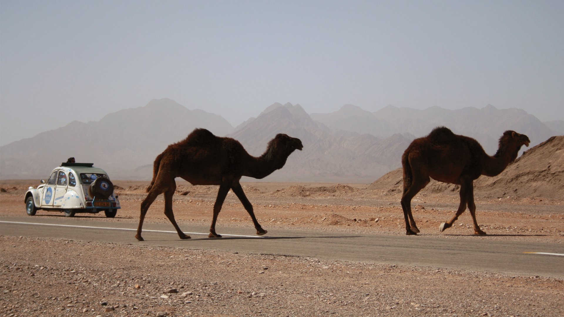 Noria - French Version