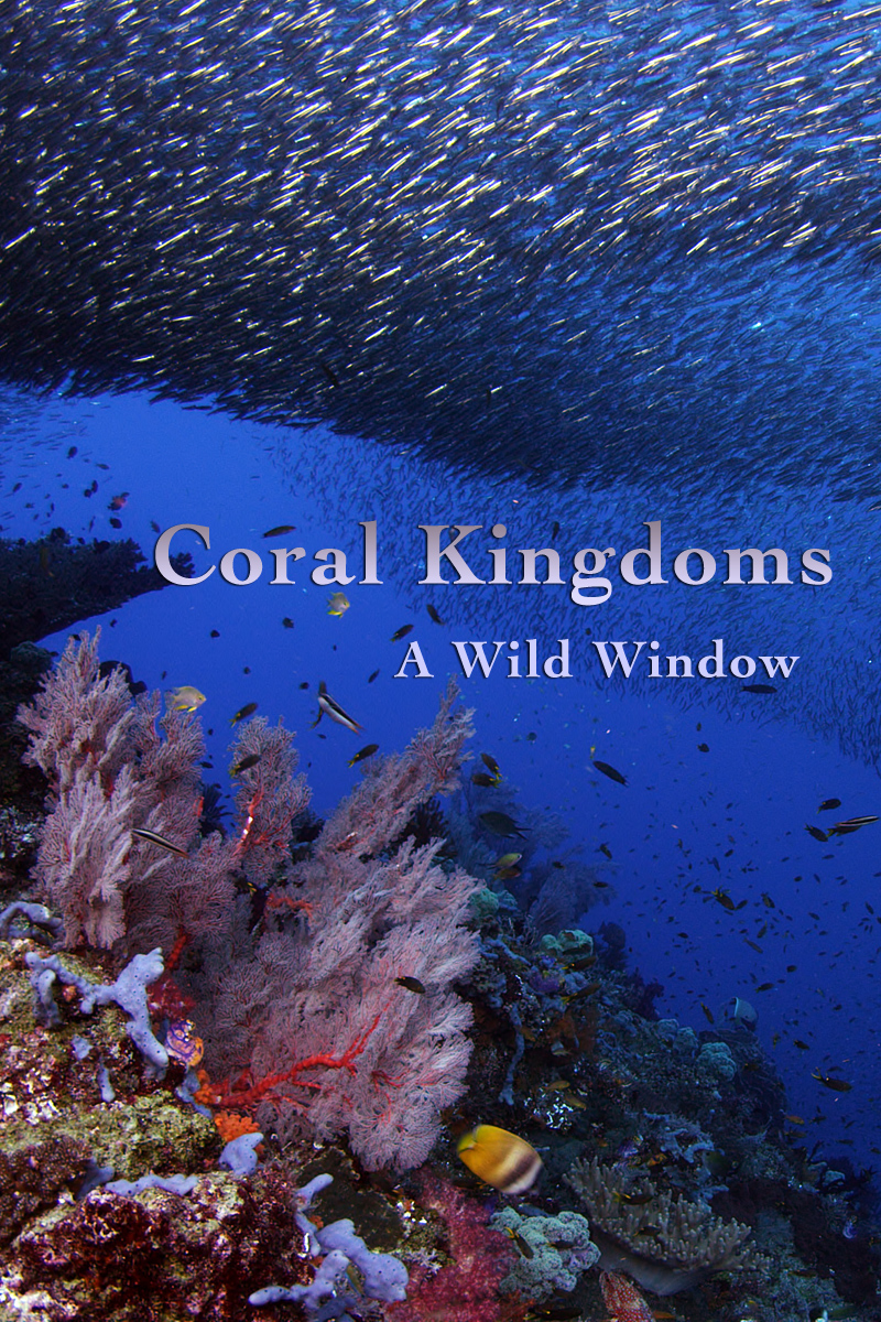 Coral Kingdoms
