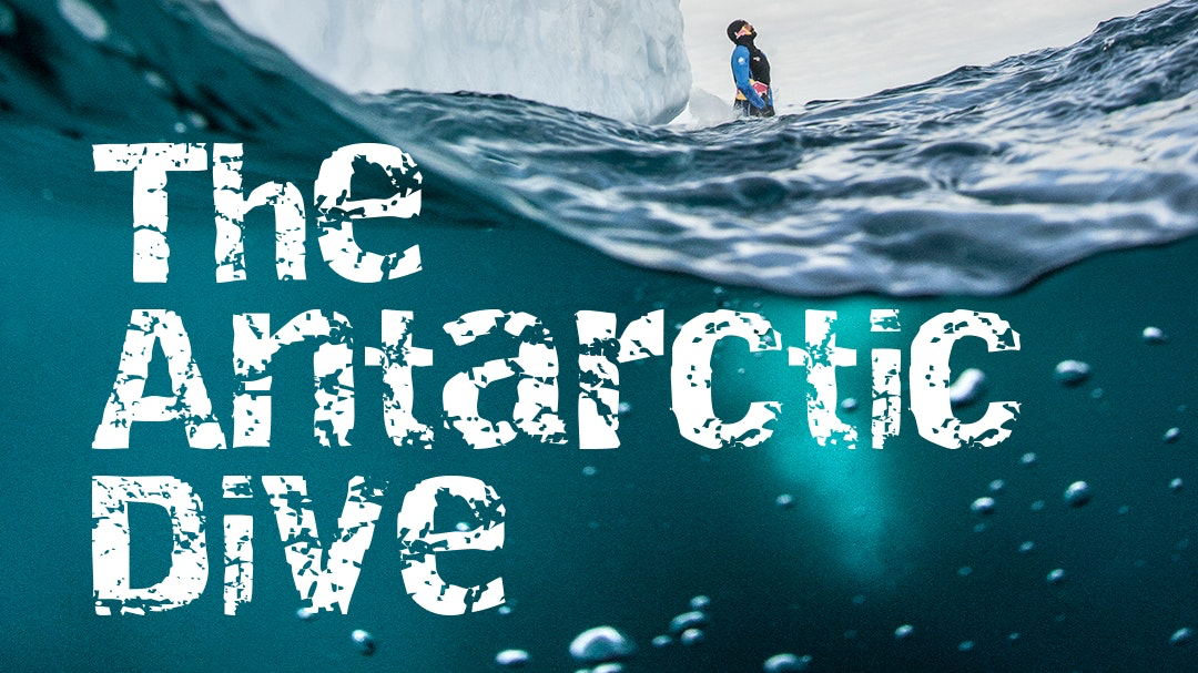 The Antarctic Dive