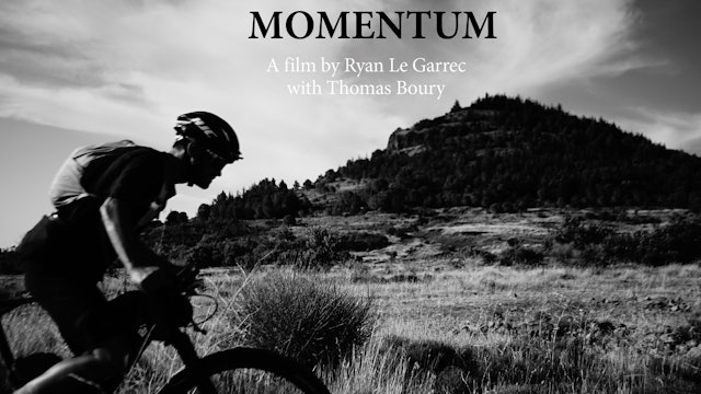 Momentum