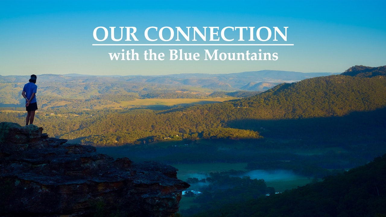 Our Connection with the Blue Mountains