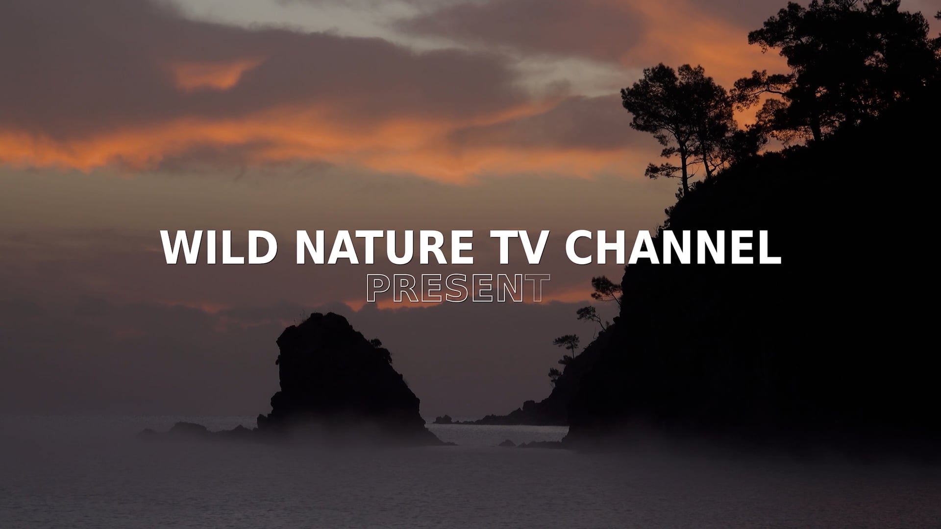 Wild Nature Episode 3