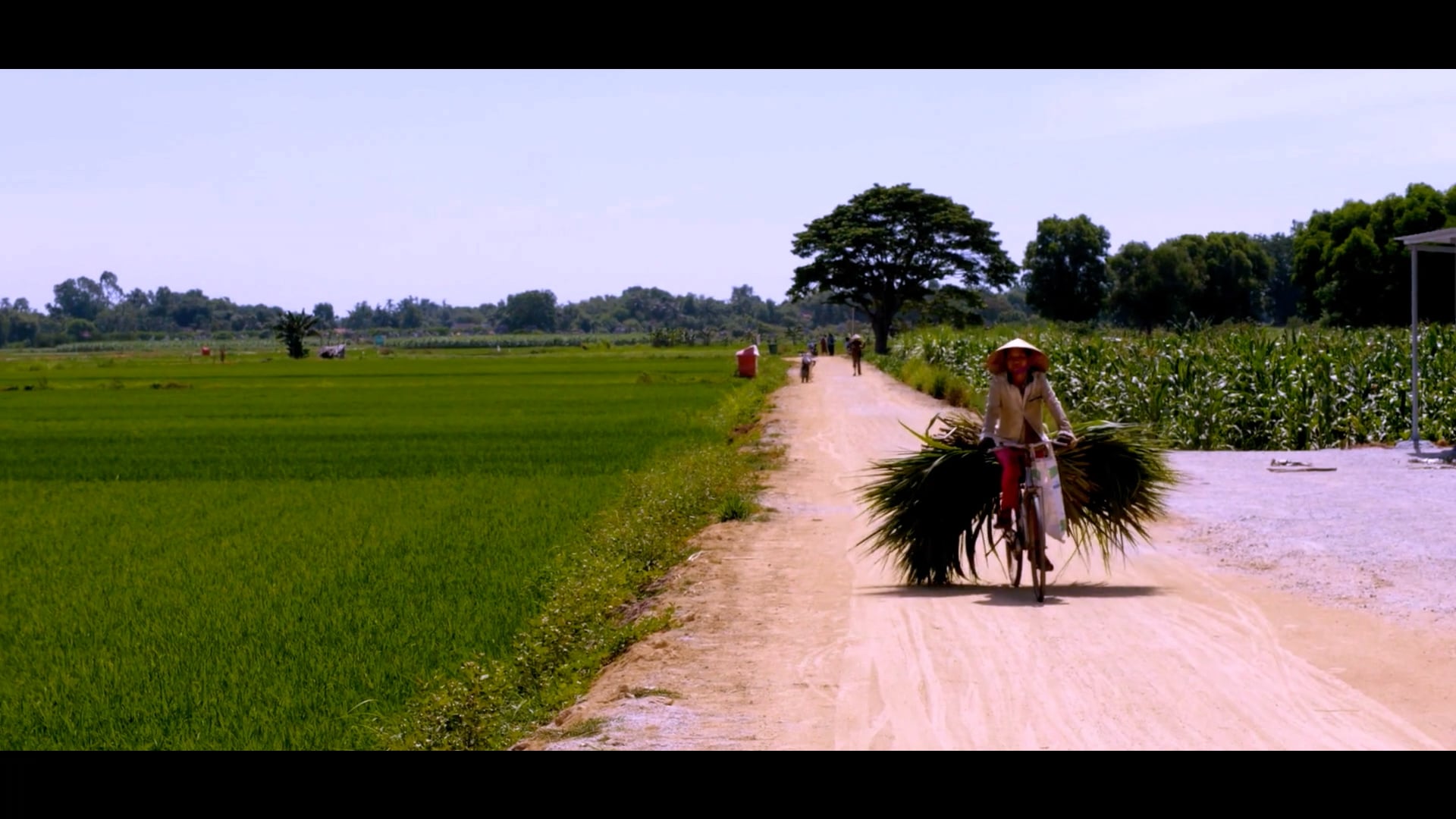 TravelByDart_Ep1S4_Vietnam1_WEB