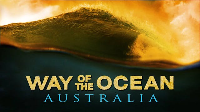 Way of the Ocean