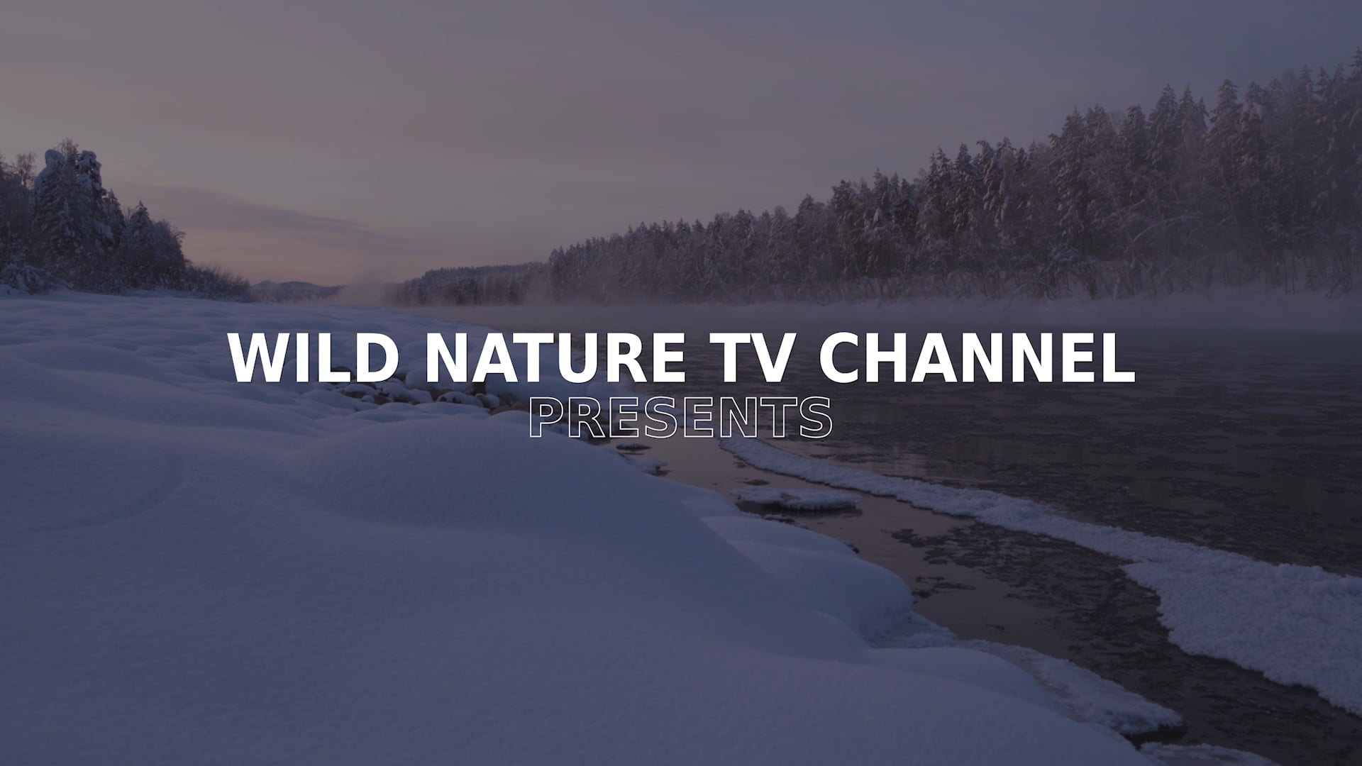 Wild Nature Episode 5