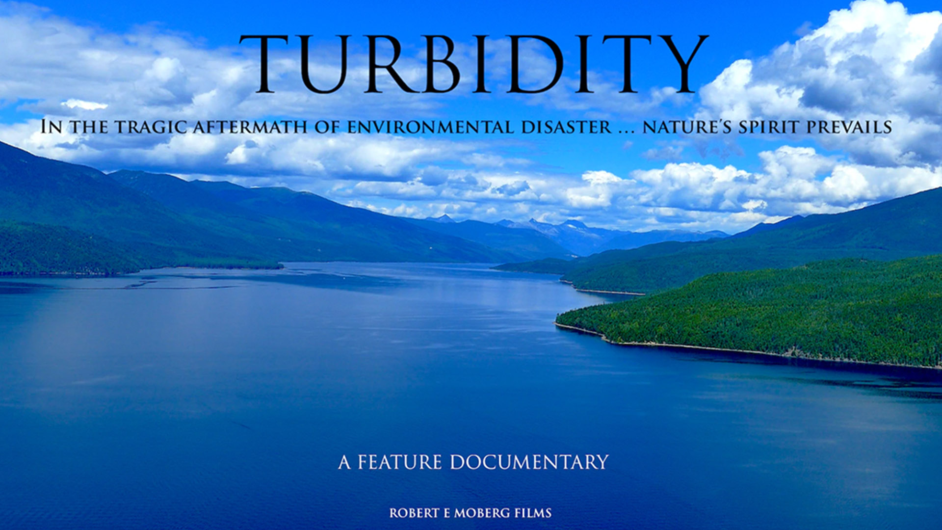 Turbidity