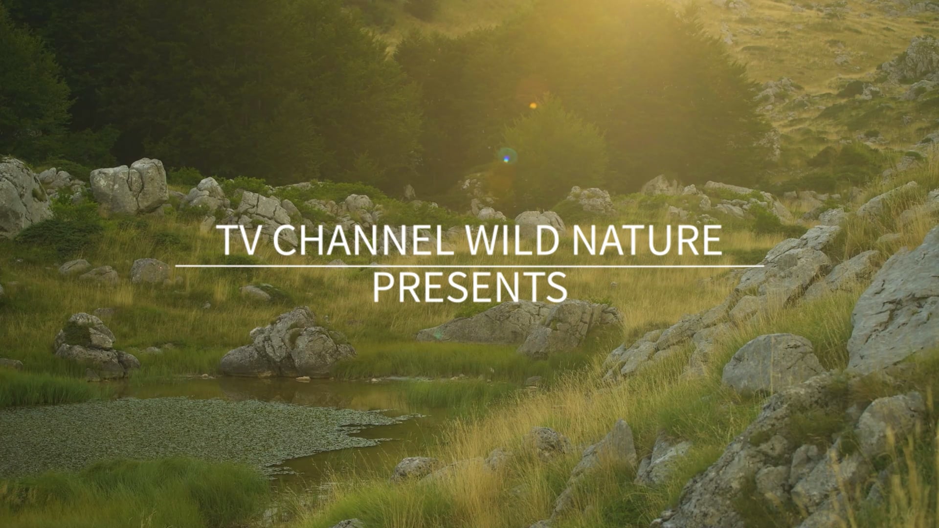 10 Minute Mindful Calmness Episode 1