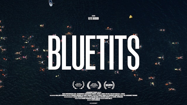 Bluetits