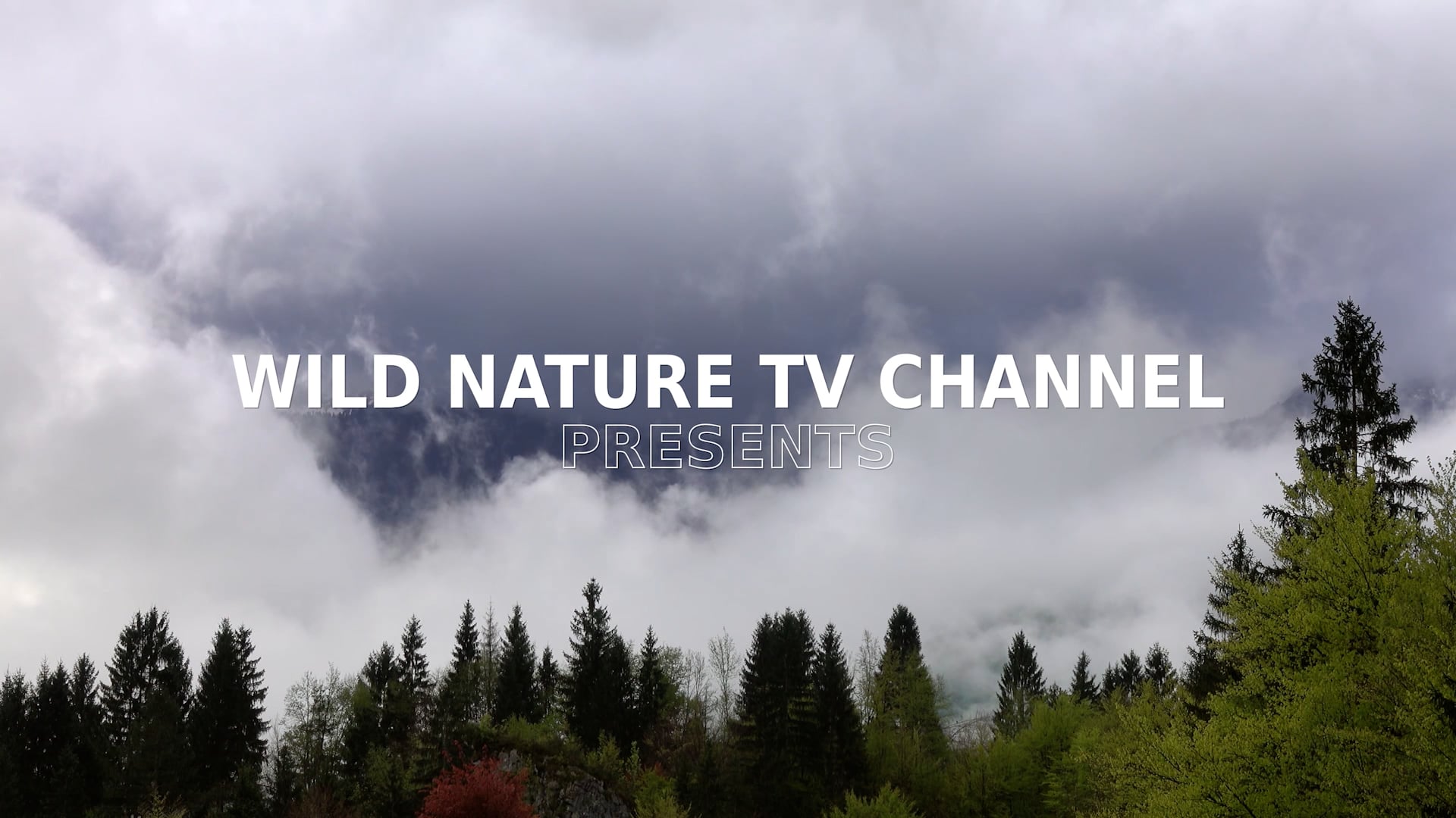 Wild Nature Episode 7