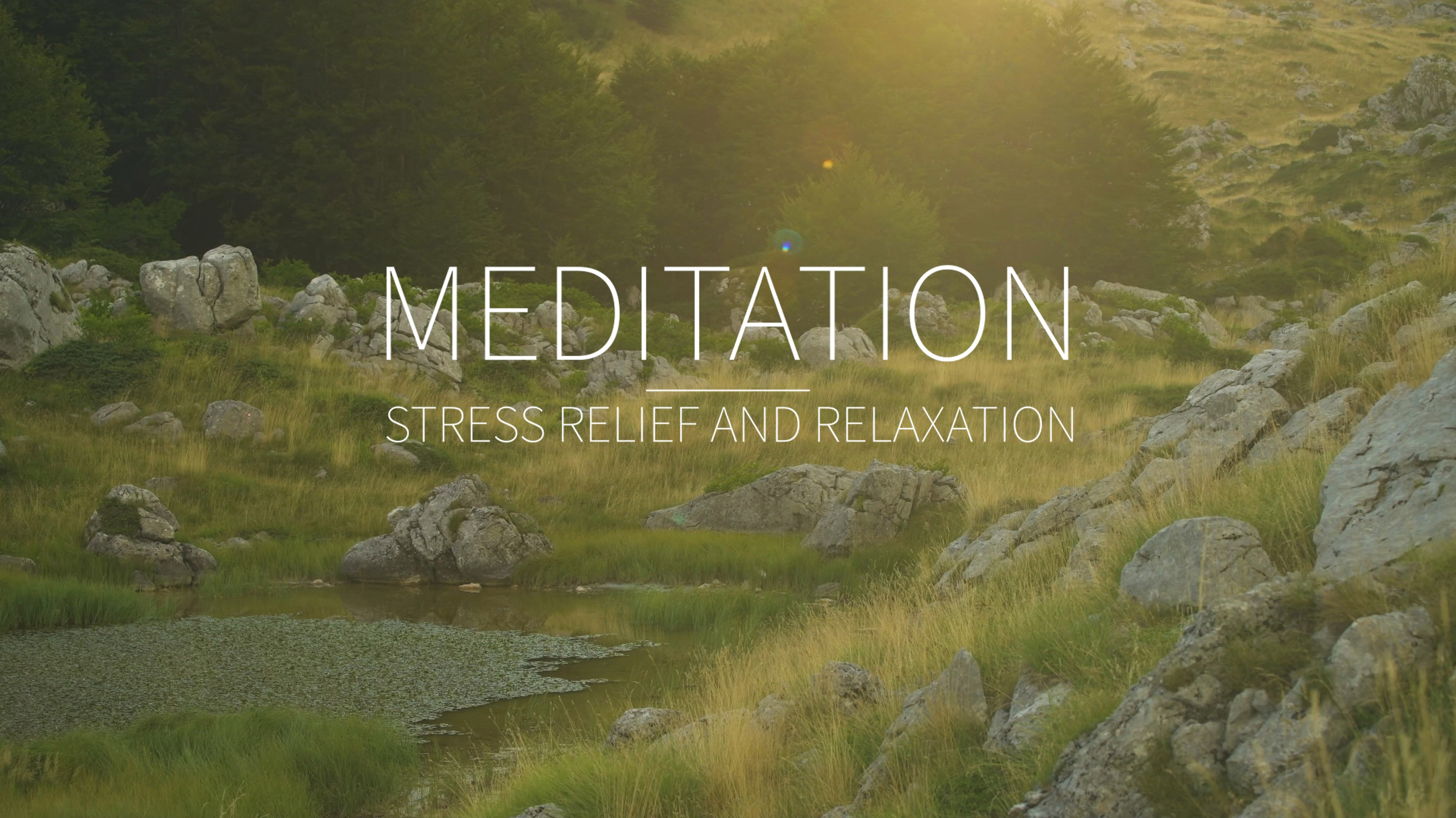 10 Minute Mindful Calmness