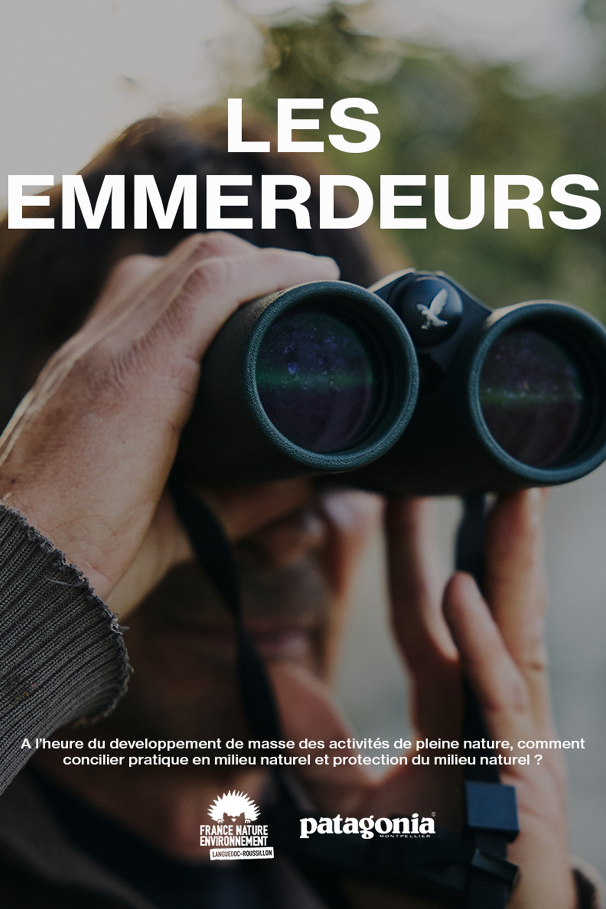 Les Emmerdeurs