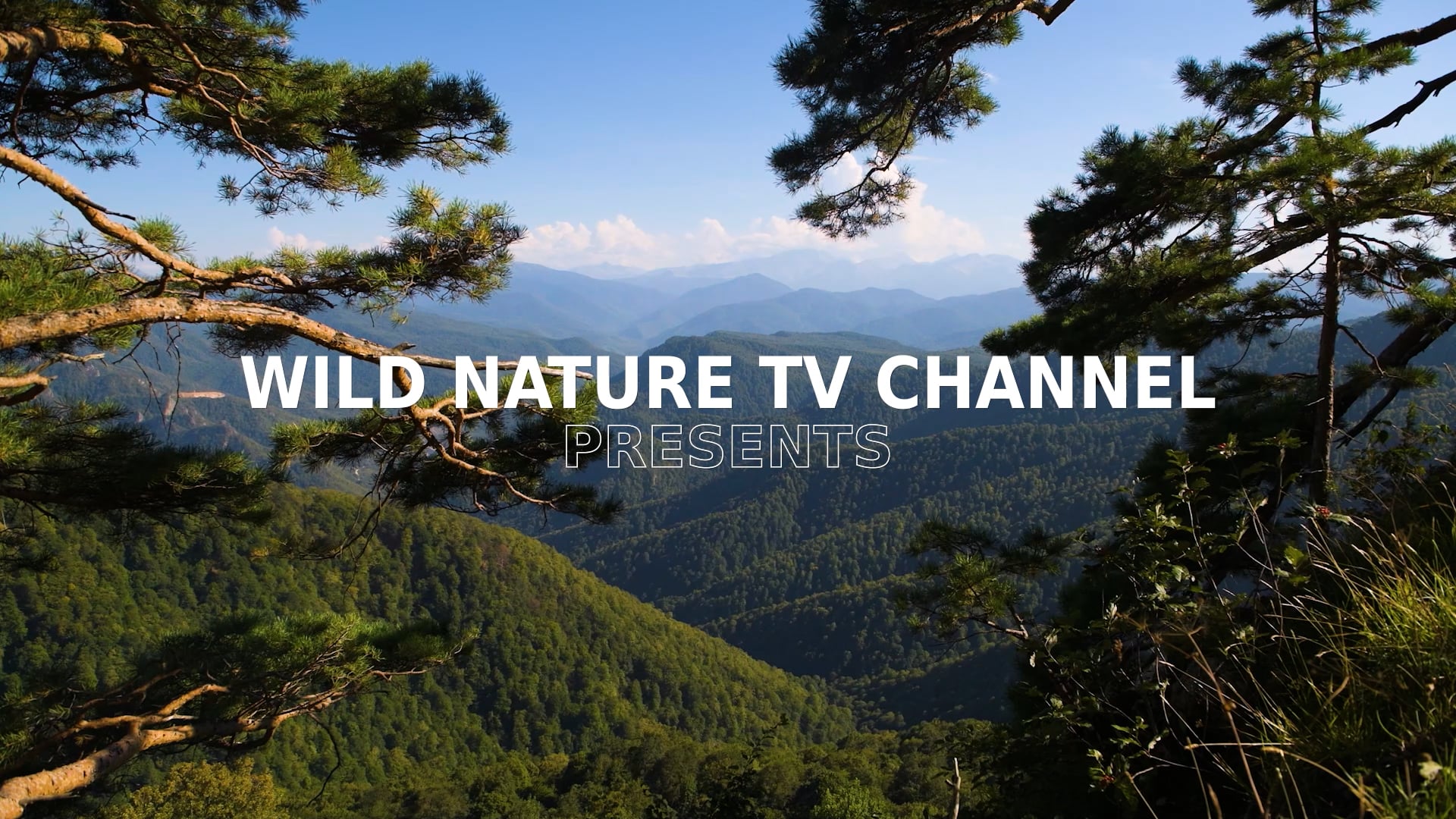 Wild Nature Episode 2