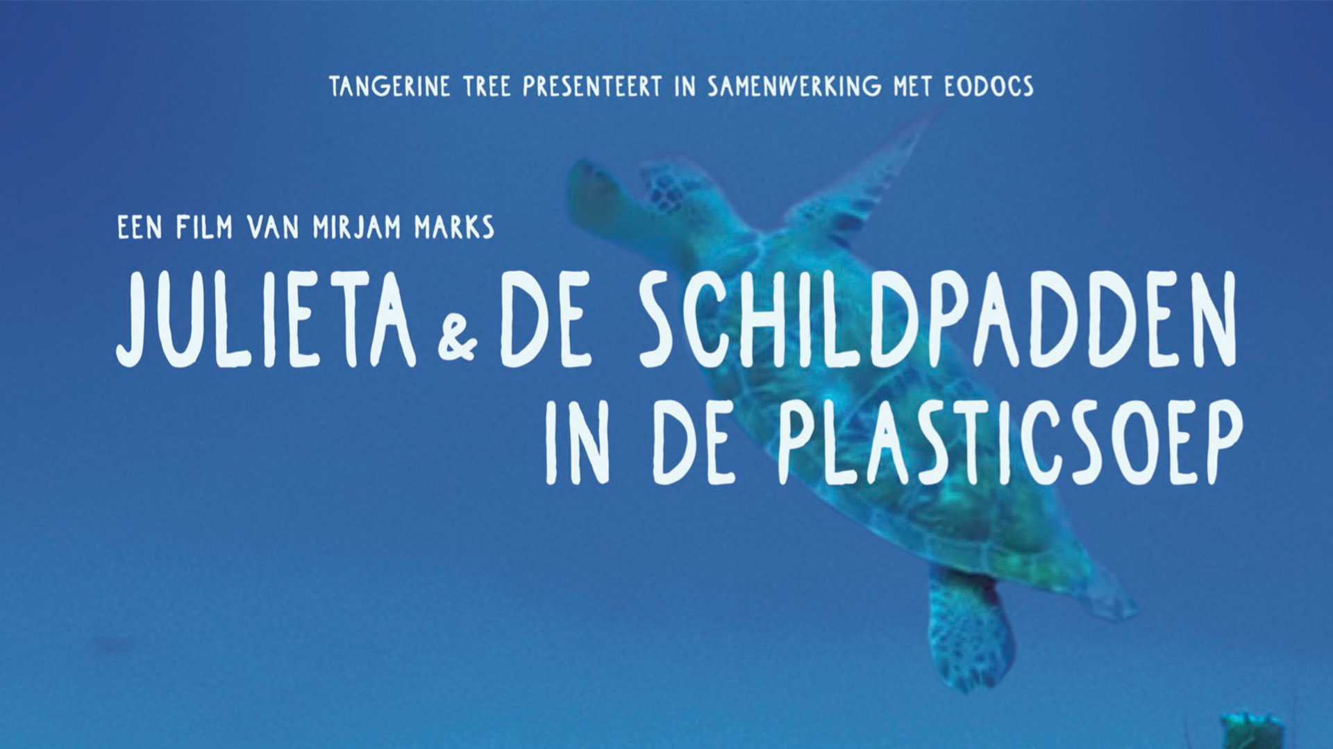 Julieta & the Turtles in the Plastic Soup