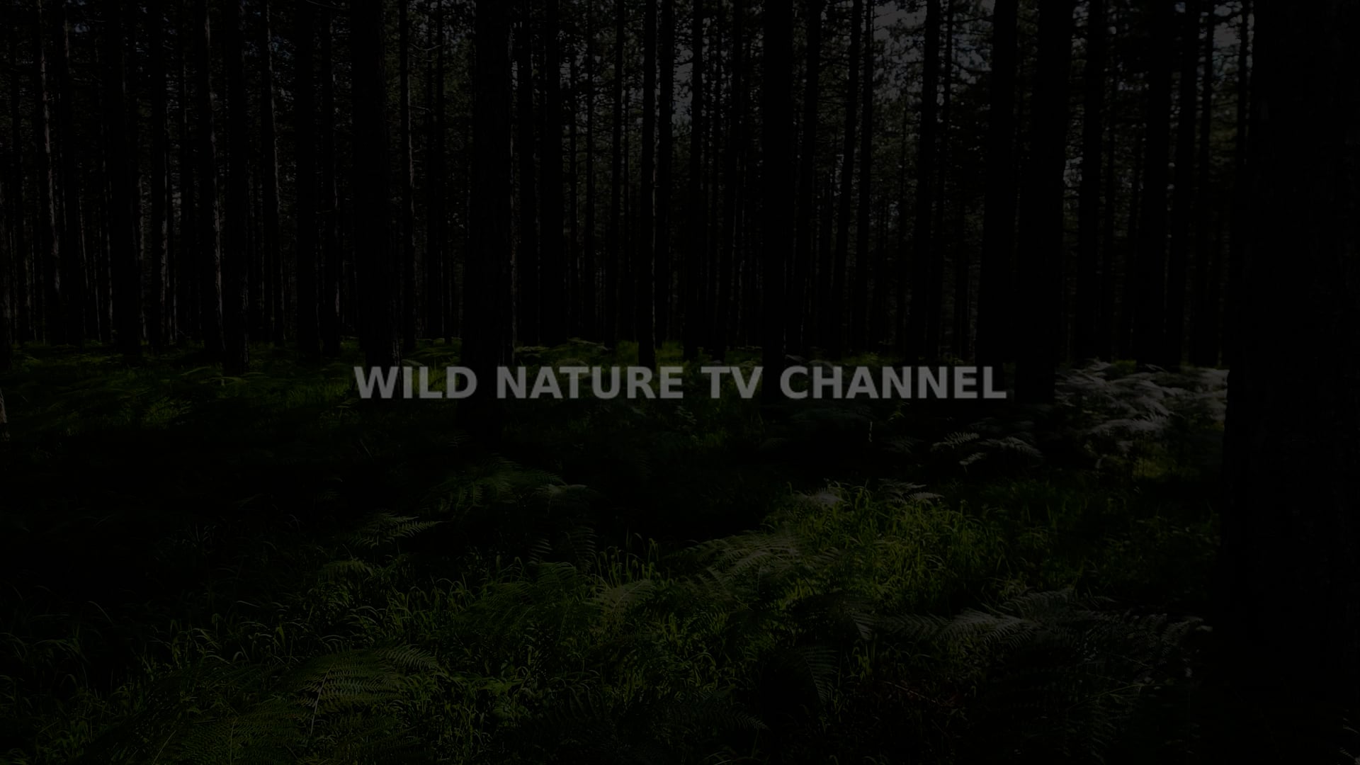 Date with Nature Season 4 Episode 5