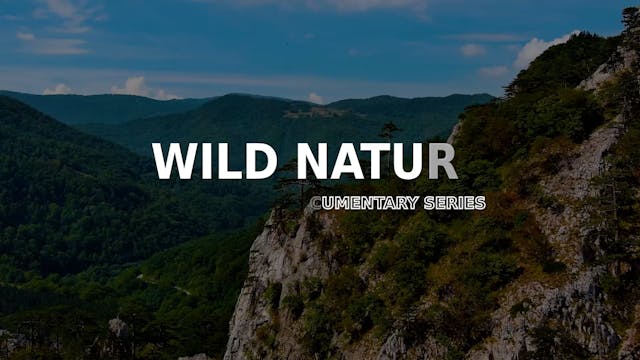 Wild Nature Episode 10