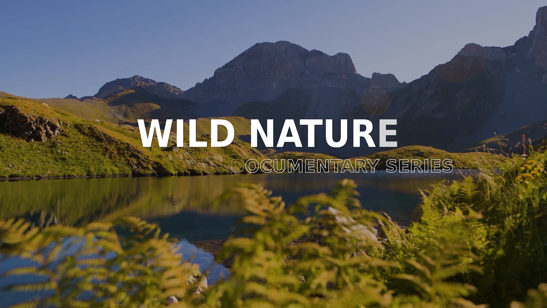Wild Nature Episode 9