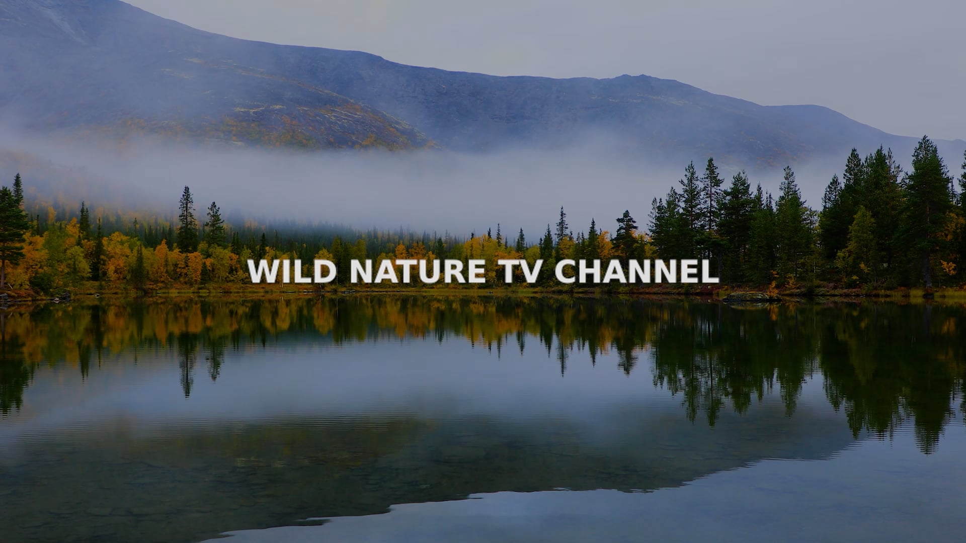 Date with Nature Season 4 Episode 4