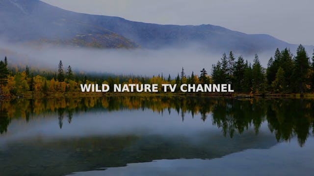 Date with Nature Season 4 Episode 4