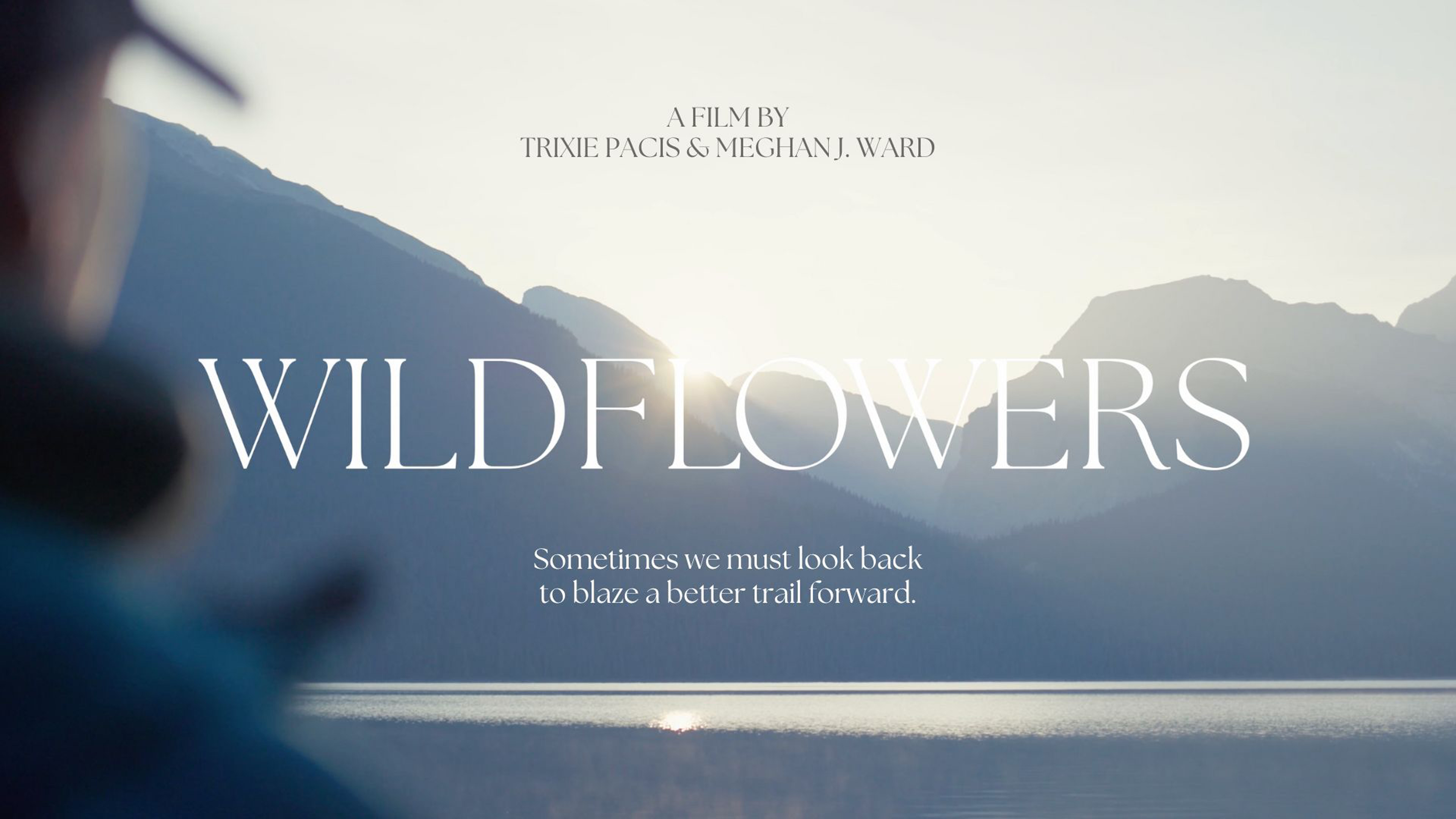Wildflowers