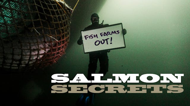 Salmon Secrets