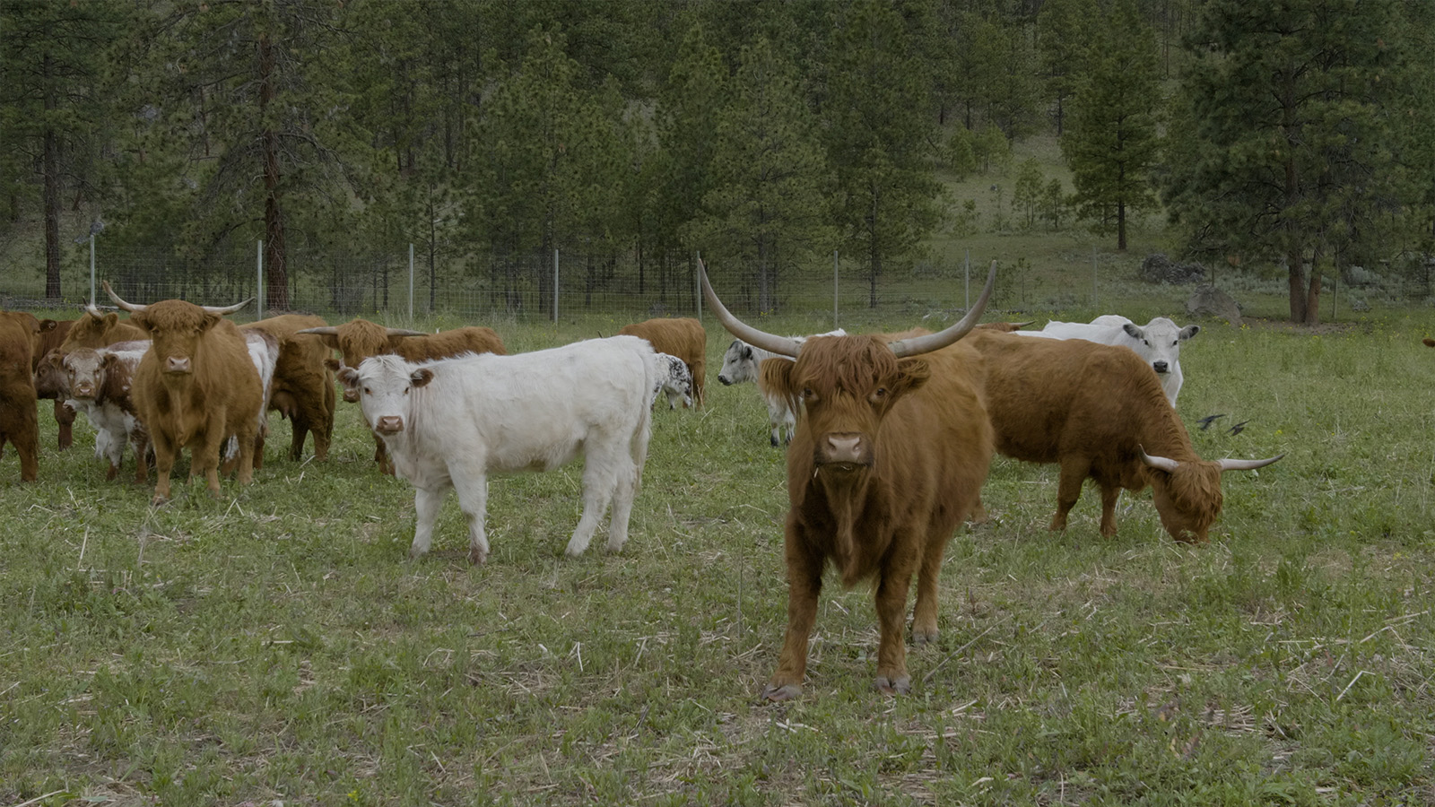 Expedition Canada  S1 Ep 05