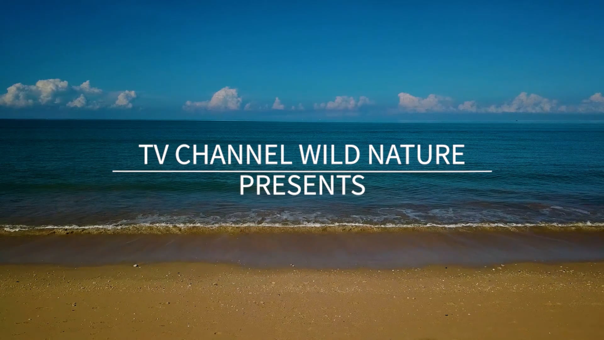 10 Minute Mindful Calmness Episode 6