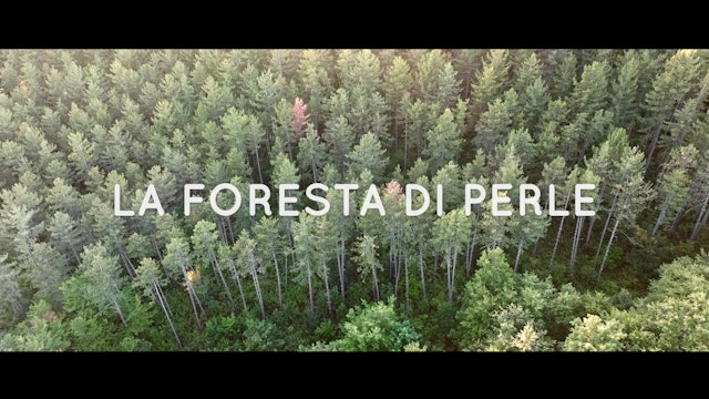la_foresta_di_perle