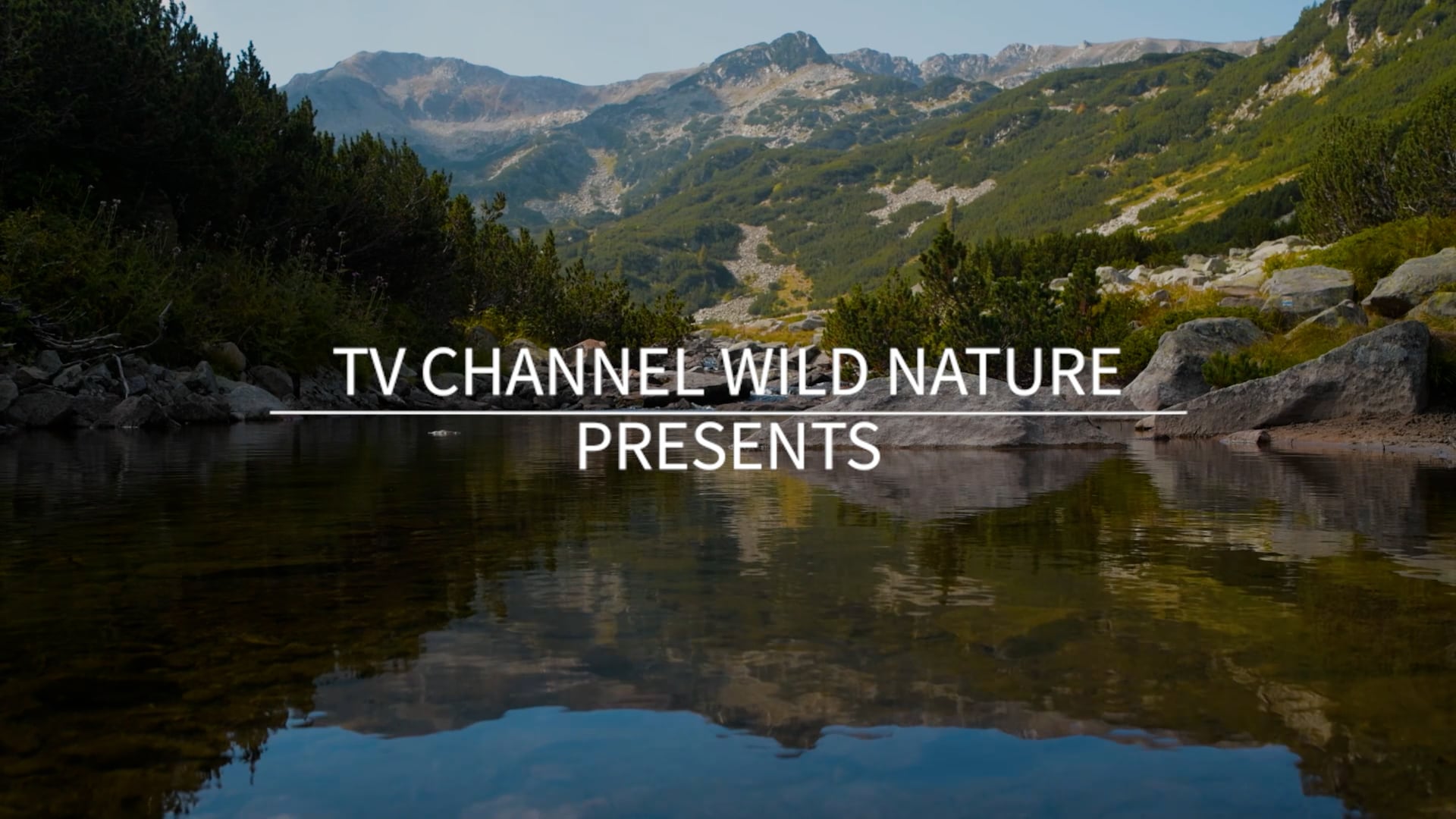 10 Minute Mindful Calmness Episode 3