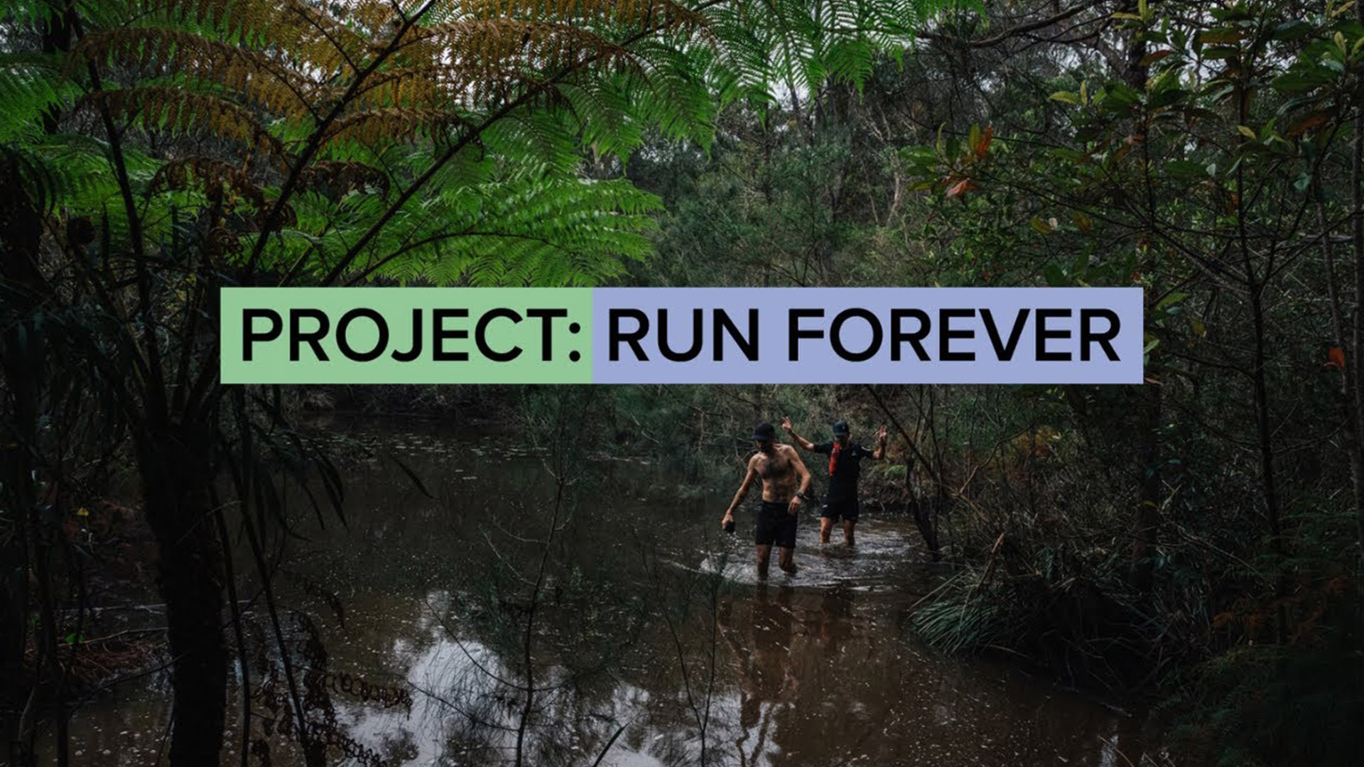 Project Run Forever