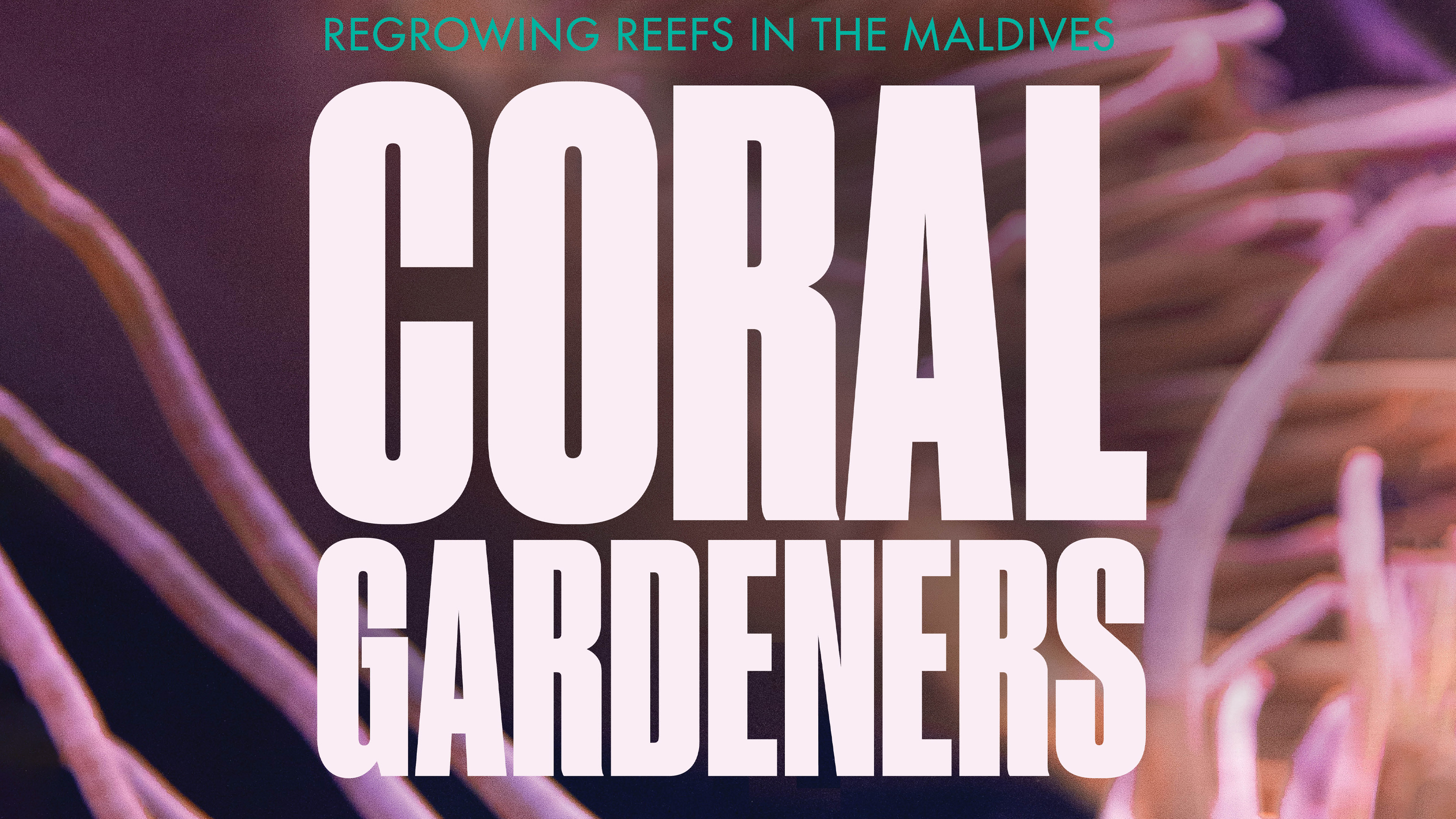 Coral Gardeners