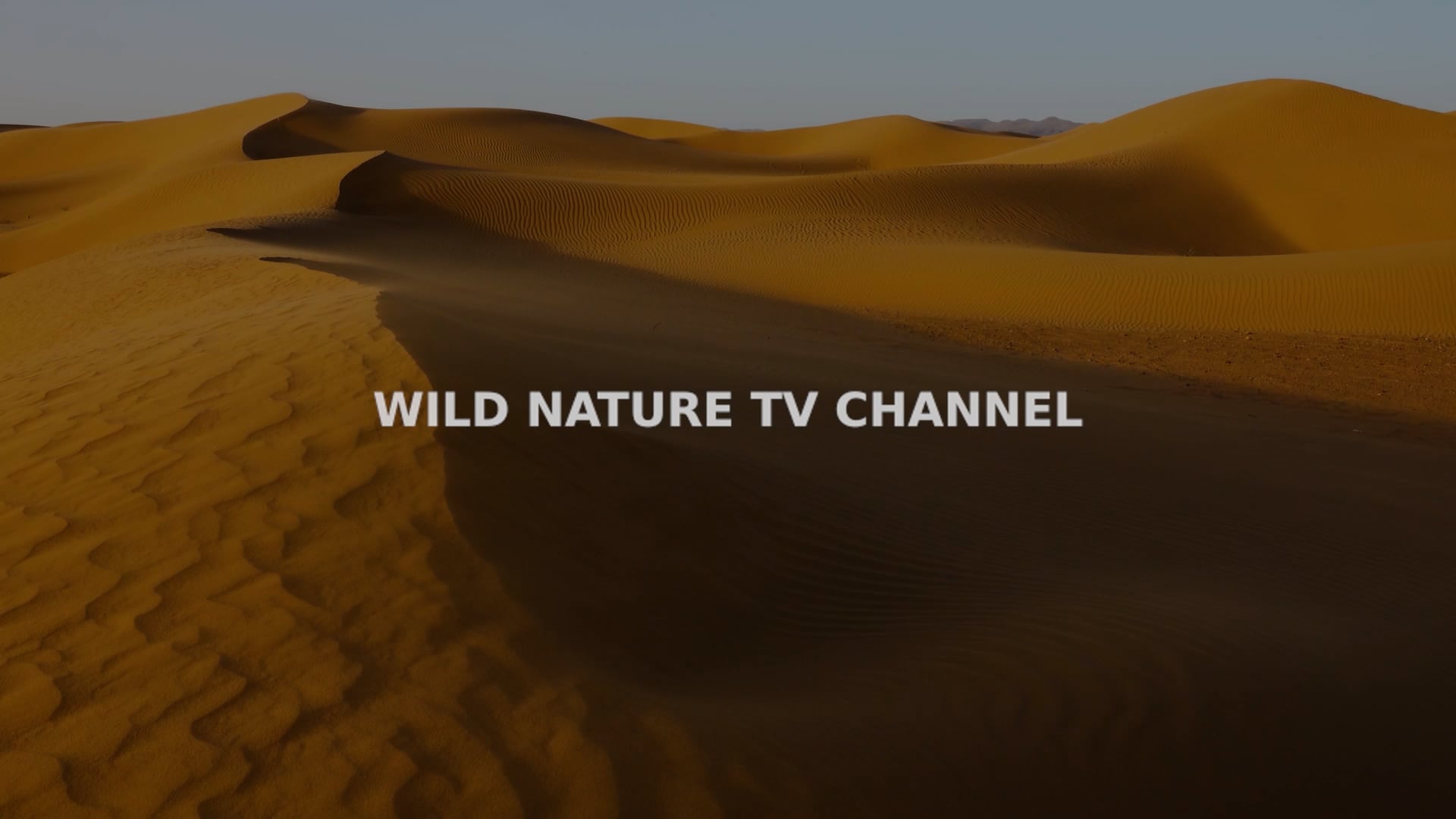 Date with Nature Season 4 Episode 2