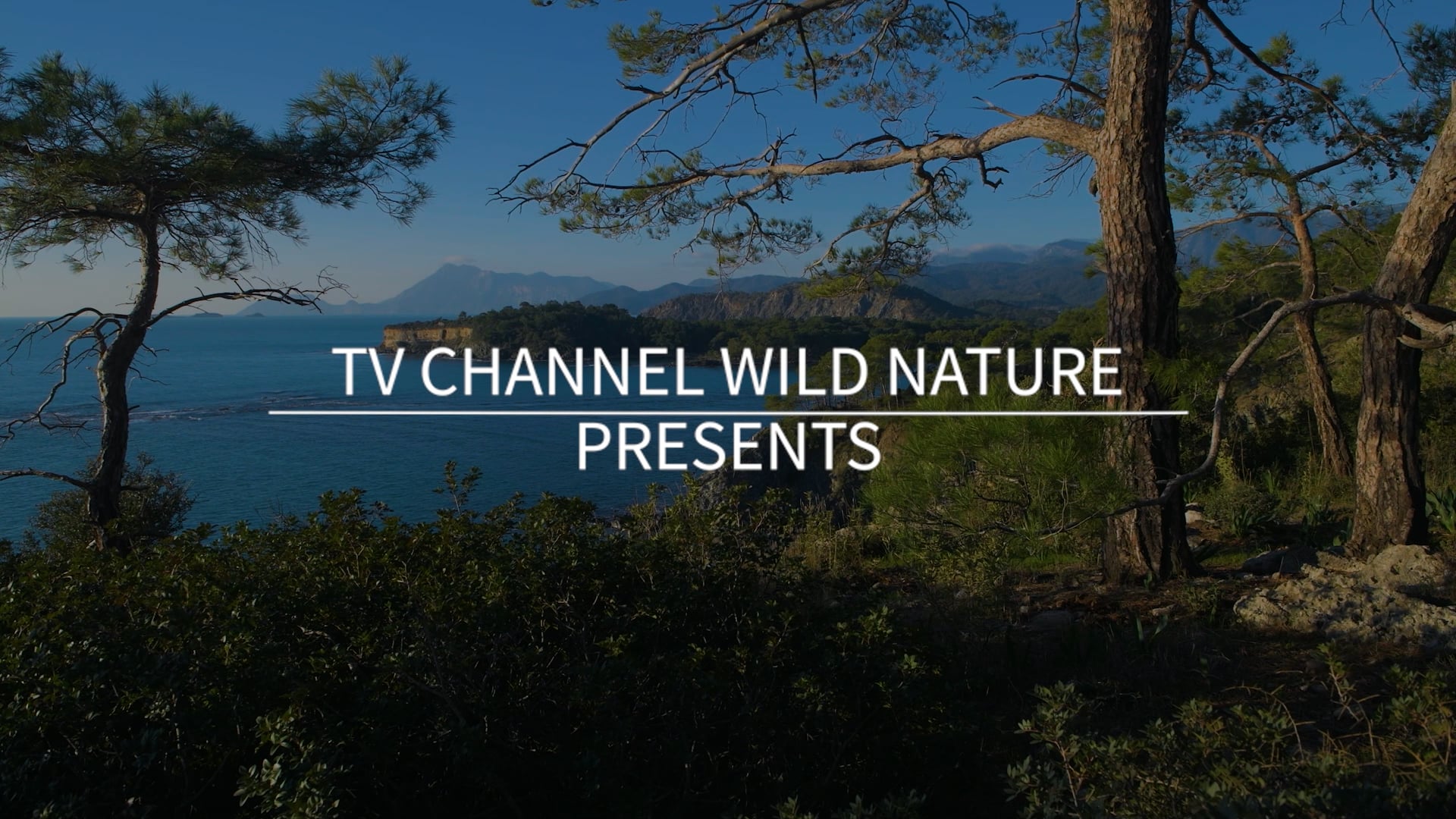 10 Minute Mindful Calmness Episode 4