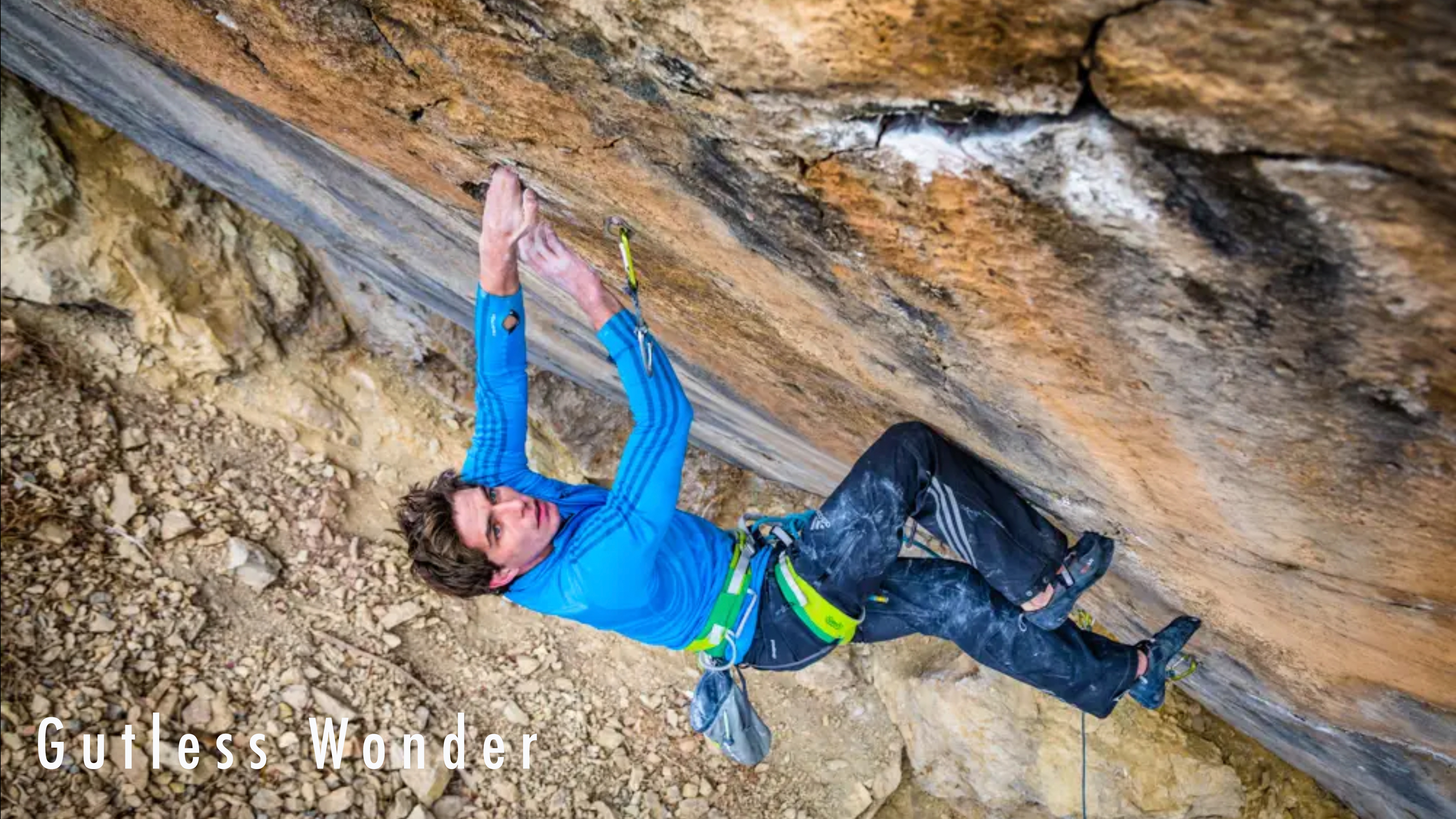 Gutless Wonder