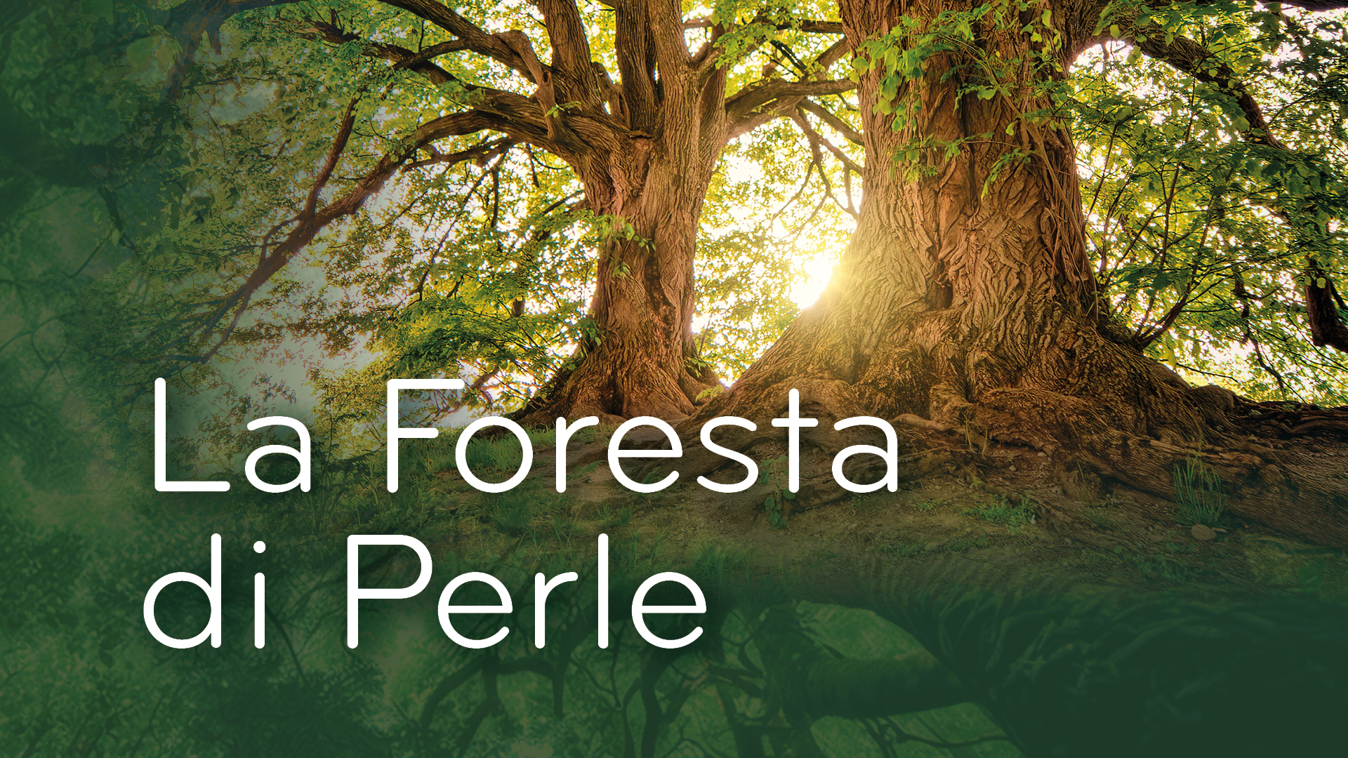 La Foresta di Perle