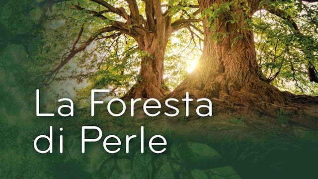 La Foresta di Perle
