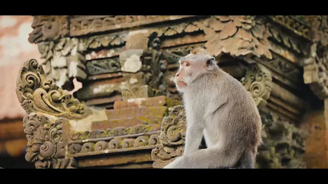 Travel By Dart S6 Episode 7 INDONESIA...