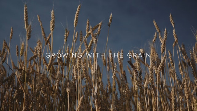 Episode 6: Growing with the Grain